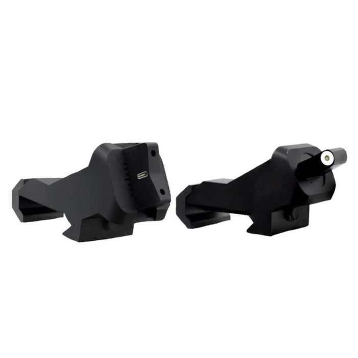 XS SightXTI2 DXT 45 Degree Offset BUIS Big Dot Tritium Front & Rear