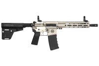 HIPOINT PISTOL HP-15 300 AAC - 10.5" 30RD BLADE BRACE SILVER